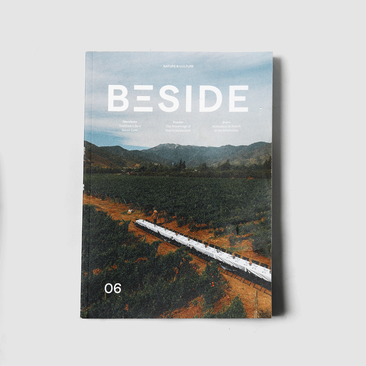 Beside Magazine - Issue 06